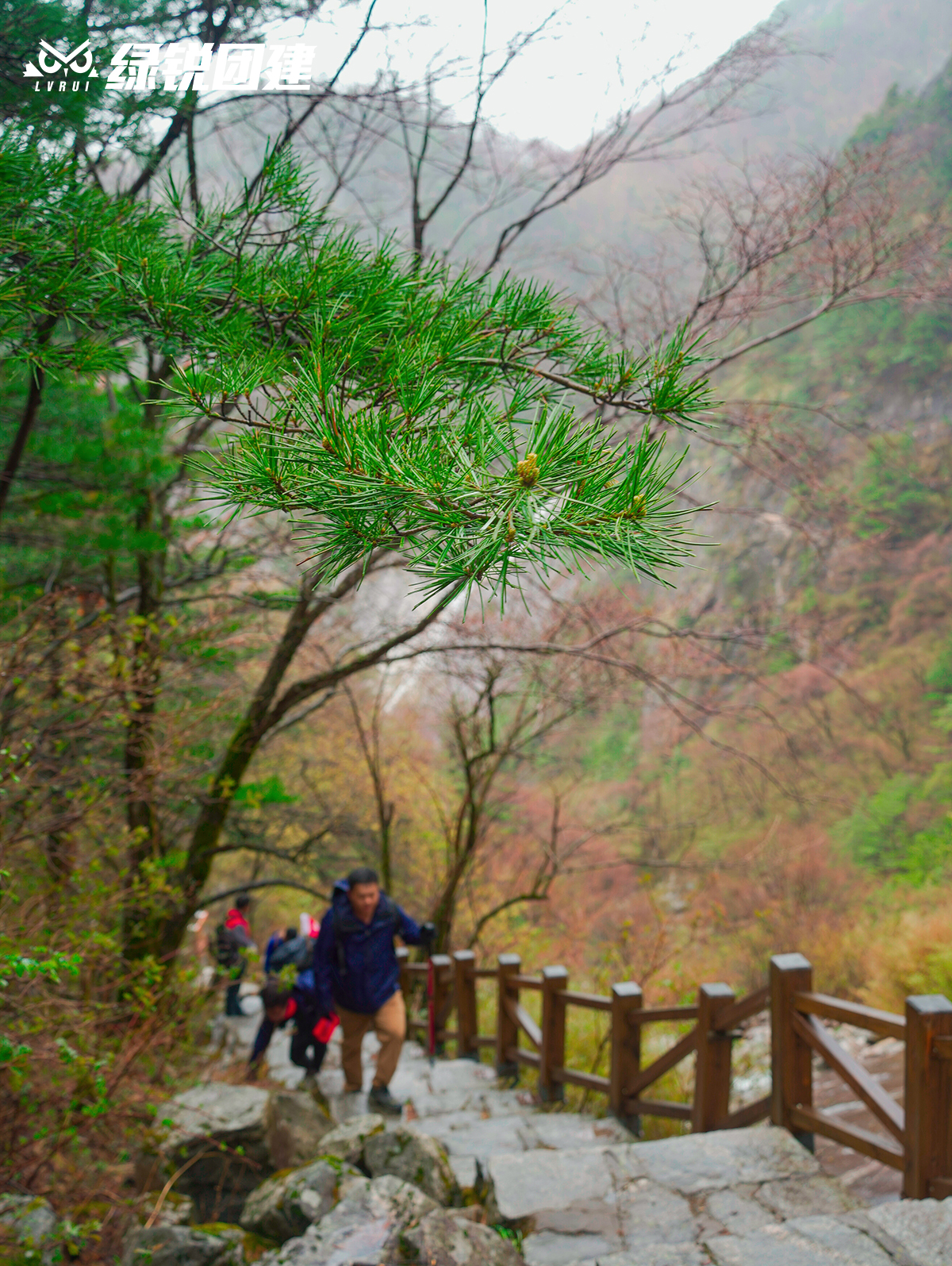 春晖集团高管修习班--冰晶顶登高团建