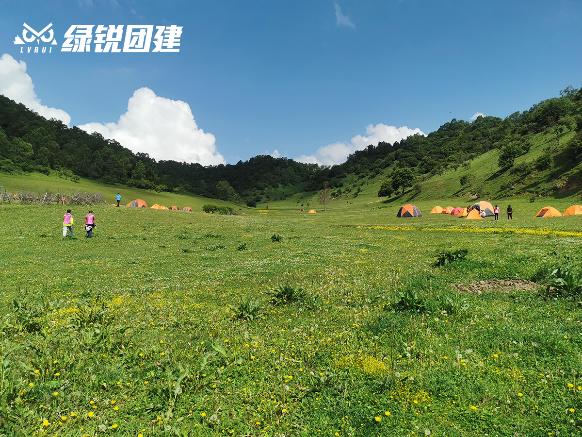 罗欣医药--关山牧场篝火+露营夏季休闲团建